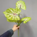 Τεχνητός Κλάδος Φύλλου Caladium Πράσινη Παραλλαγή για Εσωτερική Φυτική Διακόσμηση - Πράσινο Παιχνιδιάρικο Φύλλο Caladium 7 Κεφαλών