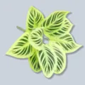 Hojas de Calathea artificiales con llamativo follaje verde rayado para decoración. - Hoja de Fénix de 9 cabezas - Amarillo (Fino)