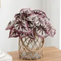 Artificial begonia leaf potted plant with rope glass vase for home decor and indoor desk. - Begonia Leaf Bouquet