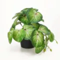 Plante artificielle en pot avec des feuilles en forme de cœur, idéale pour la déco de bureau. - Mini Plante Monnaie Chinoise Sans Pot