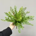 Artificial fern leaves bunch fake green plants for home decor wall hanging floral arrangement - 21-Leaf Ginkgo Fern / Green