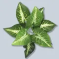 Hojas de plantas verdes artificiales follaje falso simulación decoración interior - Hoja de Taro de Centro Blanco de 9 cabezas