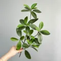 Τεχνητό κλαδί φυτού DIY χειροτεχνία πράσινα φύλλα διακόσμηση σπιτιού λουλουδάτη - Επίπεδο Κοντό Κλαδί - Πράσινο Φύλλο Qianjin