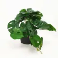 Plante Artificielle Monstera Mini Pot Feuilles Vertes Décoration Bureau Maison Tendance - Mini Feuille de Monstera Sans Pot