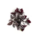 Plante en pot Tradescantia zebrina artificielle aux feuilles violettes et argentées. - Mini Feuille de Sourcil Violette Sans Pot