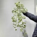 Artificial hanging plant variegated leaves fake greenery vine for home wall decor landscaping. - Medium Extended Seven-Star Leaf White 90cm