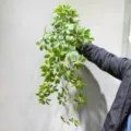 Artificial hanging plant faux greenery vine for home wall decor and interior landscaping design - Medium Extended Seven-Star Leaf Green 90cm
