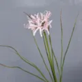 Artificial pink spider lily flower faux floral stem for home decor wedding photography - Pink