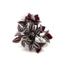 Artificial hanging plant potted tradescantia zebrina vine for indoor wall home decor - Purple