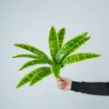 Artificial sansevieria leaves fake green plant 12-head floral arrangement decor variant - 12-Head Green Sansevieria