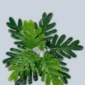 Hojas de monstera artificiales planta verde follaje decoracion hogar arreglo floral - Philodendron de 9 Cabezas