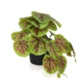 Plante artificielle en pot avec de jolies feuilles à motifs pour décoration intérieure - Feuille de Bégonia Couleur d'Automne Sans Pot