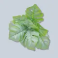 Hojas de Monstera Artificiales Planta Verde Variante para Decoración de Interiores del Hogar - Hoja de Monstera de 9 cabezas - Blanco