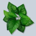 Hojas de palma tropical artificiales planta verde falsa decoracion interior de arreglos - Hoja de Peperomia Sandía de 9 cabezas