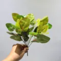 Planta verde artificial hojas de sandía decoración paisajística interior y exterior de alta calidad - Hoja de Vena Roja