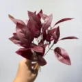 Hojas de planta artificial burdeos follaje falso decoracion de interior micro rama - Hojas de manzano