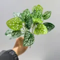 Variante de hojas de plantas artificiales, follaje verde y blanco para decoracion interior. - Hoja de Puntos Estelares