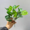 Rama de planta verde artificial con textura de hoja realista para decoración del hogar. - Hoja de Cola de Golondrina