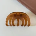 Pinza per capelli trasparente marrone accessorio elegante versatile per donne quotidiano. - Marrone Caramello - Pinza a Fiore Rotondo