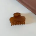 Molla per capelli marrone da donna, elegante fermaglio in acrilico e accessorio chic per tutti i giorni. - Marrone Caramello - Piccola Pinza Rettangolare