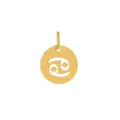 Pendentif zodiaque Cancer rond en acier inoxydable doré de 13mm pour création de bijoux DIY. - Acier / Cancer