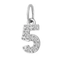 Pendente Ciondolo Numero 5 in Zircone Argento, Charm Diamante Brillante per Collana Fai da Te. - Numero 5(ZP39295) / Colore acciaio