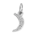 Ciondolo a mezzaluna in argento zircone collana variante accessorio gioiello in acciaio - Luna(ZP39306) / Colore acciaio