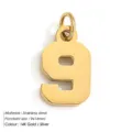 Stainless steel number 9 pendant charm, 9x14mm size, 14K gold or silver color options. - Number 9 (YP33064)