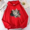 Casual red long sleeve hooded sweatshirt for women featuring a realistic 3D cat print. - XS / Tops / Red
