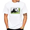 Men's white short sleeve t-shirt featuring a cute baby panda print graphic design casual top. - XS / Tops / Giant Panda M2 (White)