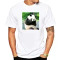 Men's White Short Sleeve T-Shirt with Cute Giant Panda Photo Print Casual Summer Top - XS / Tops / Giant Panda M5 (White)