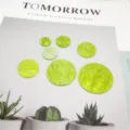 Grüne Acryl Muscheloptik runde Scheiben Anhänger für DIY Schmuckherstellung Nahaufnahme. - 10mm Einzelloch / Grasgrün
