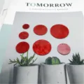 Red acrylic round shell effect discs DIY jewelry accessories pendant crafting supplies. - 18mm Single Hole / Red