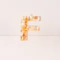 Resin Mother of Pearl Letter F DIY Keychain Pendant Cute Fashion Bag Charm Accessory - Letter F