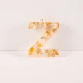 Resin shell letter Z pendant DIY keychain charm, stylish bag accessory for handmade crafts. - Letter Z