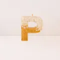 Resin Letter P Keychain Pendant with White Chips and Gold Foil DIY Bag Charm Accessory - Letter P