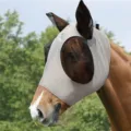 Grey horse fly mask with mesh ears and eyes, breathable anti-mosquito face protection gear - General Purpose / Gray