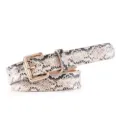 Cintura da Donna in Pelle Stampata Serpente con Fibbia Dorata Quadrata Elegante Moda - Serpente Bianco con Fibbia Dorata