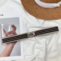 Women elastic stretch belt with chic striped design and metal buckle for dresses and pants. - Metal Round Buckle (Apricot Brown Blue)