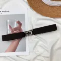 Stylish women's elastic stretch belt, casual adjustable waist accessory for dresses and pants. - Metal Round Buckle (Coffee)