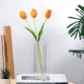 Clear acrylic arched flower vase modern minimalist decorative floral vessel for home decor. - Transparent Small Arch