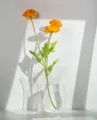 Clear acrylic flower vase creative transparent decorative ornament for home desktop hydroponic decor - Transparent Without Flower 20cm Height