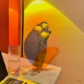 Modern minimalist aesthetic geometric acrylic flower vase for home decor and floral arrangements. - Geometric Acrylic Vase