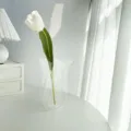 Modern acrylic vase for home decor, clear wavy design, creative desktop floral arrangement accessory. - Clear