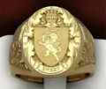 Anillo de sello león corona hombre escudo blasón aleación de zinc moda joyería oro - Talla 7 / Dorado