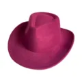 Close-up detail of the fuchsia wool fedora hat showing soft texture and wide brim style. - M (56-58cm) / Burgundy