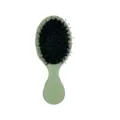 Mini Macaron Green Hair Brush, Scalp Massage Air Cushion Brush for Kids and Women Daily Hair Care - Boar Bristle Style / Elastic Paint Light Green