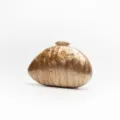 Elegant acrylic shell clutch bag for women, luxury marble patterned evening handbag. - Champagne