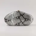 Acrylic snakeskin evening clutch bag detail shot showing unique oval shape and clasp. - Gray