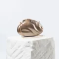 Acrylic evening clutch bag detail showcasing glossy metallic finish and delicate leaf lock clasp. - Coffee